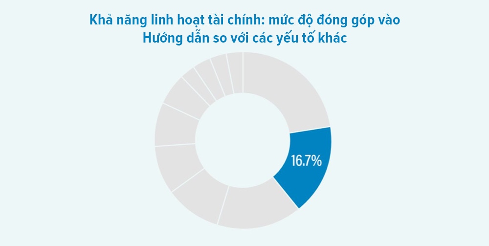 Khả năng linh hoạt tài chính