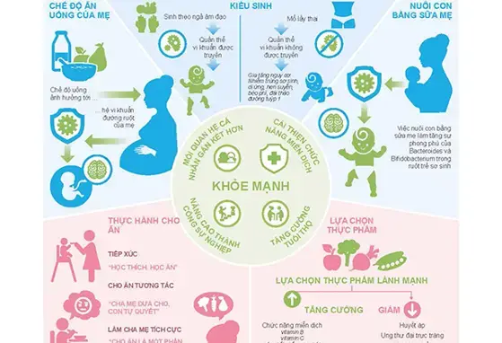 Những yếu tố đóng góp đầu đời cho sự khỏe mạnh của trẻ nhỏ (infographics)
