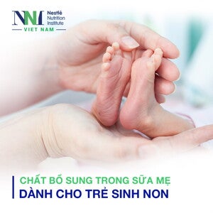 Chất bổ sung