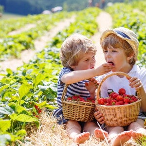 Một đứa trẻ kén ăn? "Tự nhiên và nuôi dưỡng" có thể ảnh hưởng đến hành vi ăn uống của trẻ nhỏ như thế nào? (news)