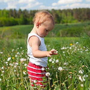 Sử dụng Probiotics trên lâm sàng cho dị ứng trẻ em (news)