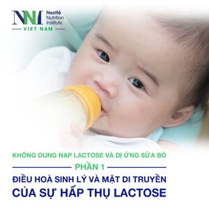 lactose VÀ DỊ ỨNG SỮA BÒ - PHẦN 1