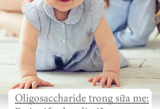 Oligosaccharide trong sữa mẹ: Bước tiếp theo là gì? (publications)