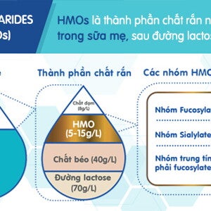 HMOs - Đặc điểm nhận dạng của “Chiến binh” trong Sữa Mẹ. (infographics)