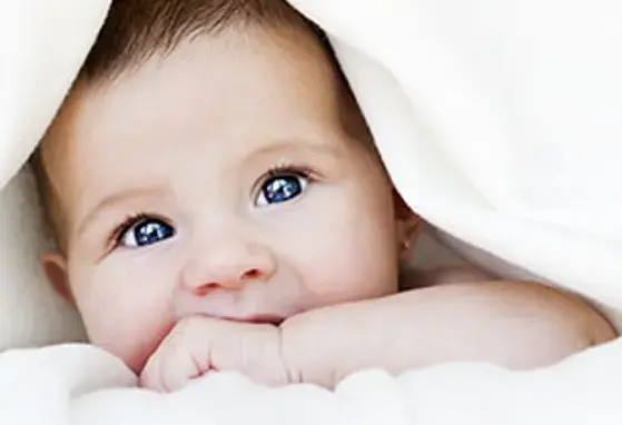 Nghiên cứu tìm thấy tiêu thụ các loại hạt tăng cường chức năng sóng não (news)