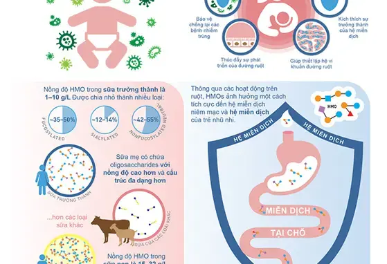 Hệ miễn dịch của trẻ nhũ nhi có chức năng còn non nớt và chưa trưởng thành (infographics)