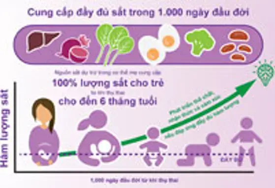 Đáp ứng nhu cầu sắt của trẻ nhỏ (infographics)